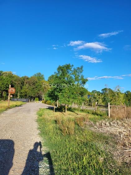 Oportunitate Unică! Teren de Vânzare aproape de Pădure – Ciolpani Izvorani - 3