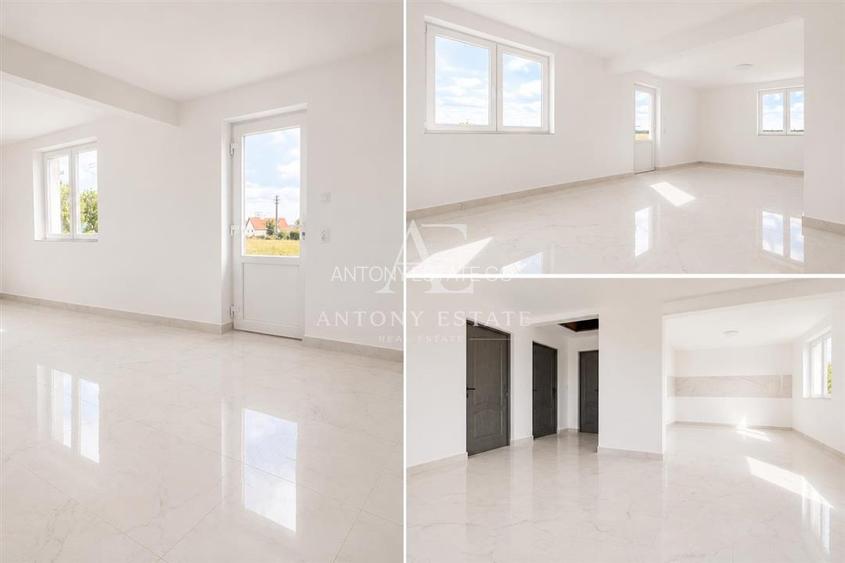Antony Estate I Vanzare, Country House, Tileagd, Bihor - 4