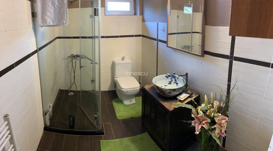 Vila rezidential/firma zona Traian, Cartierul Evreiesc, P+1 - 11