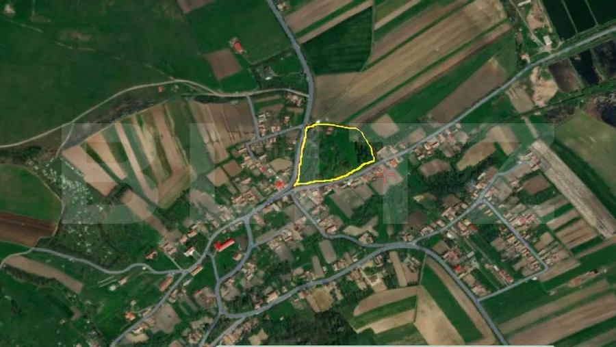 Cabana cu teren intravilan 18.449 mp – Paingeni | 7,5 €/mp | Vedere panoramică
