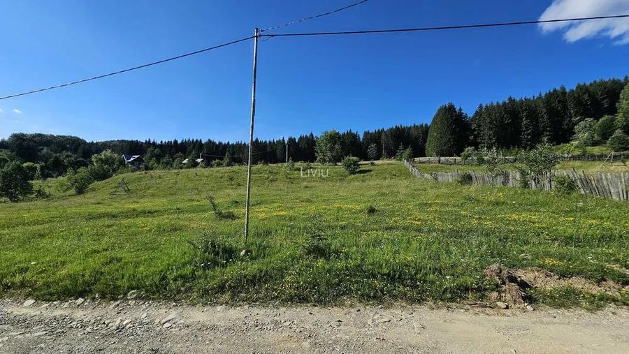Teren intravilan Traisteni, Valea Doftanei – 2.290 mp, deschidere mare, padure - 4