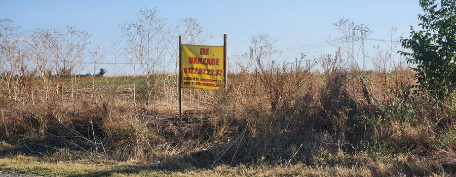 Frumusani-Pasarea,stradal la asfalt,ideala investitie!