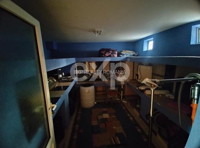 Stefanesti | Proprietate cu doua imobile | Teren 3.297 mp | La 4 km de Pitesti - 12