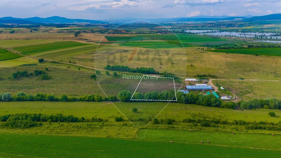 Oportunitate pentru fermieri: 10.800 mp teren arabil în Rotbav, Brașov - 6