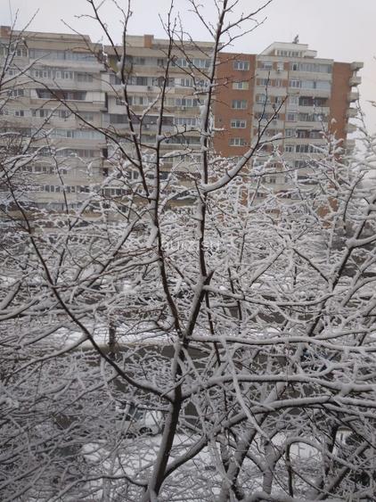 Propietar Vand apartament 3 Camere, Decomandate, Baie cu geam, 64m2 , Mazepa  - 5