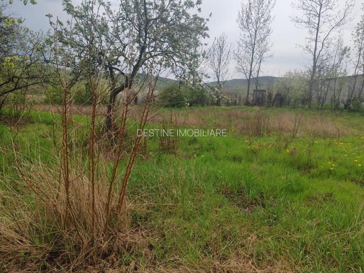 Teren intravilan in suprafata de 3160 mp, Puscasi, Poiana lui Alexa - 3