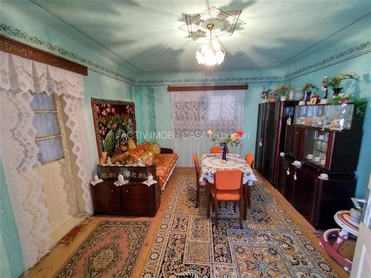 Rachitova, Casa 8 Incaperi, 3800mp Teren, Usor Negociabil - 22