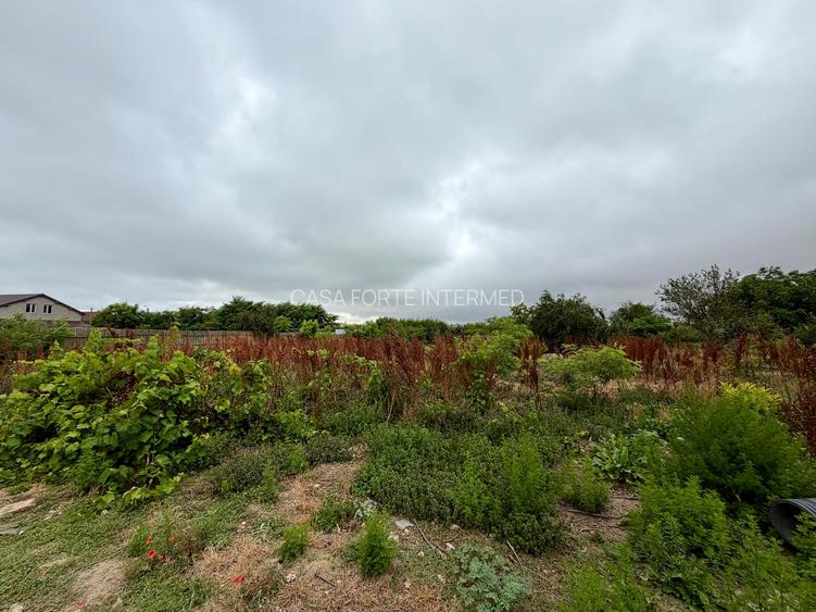 Corbu Teren intravilan 1515 mp de vanzare langa Lacul Corbu 99000 euro - 9