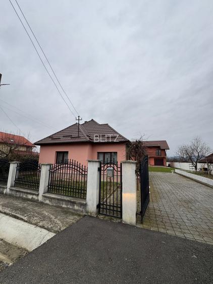 Casă cochetă în Lăpușel, zonă liniștită – 70 mp, teren 4,5 ari. - 2