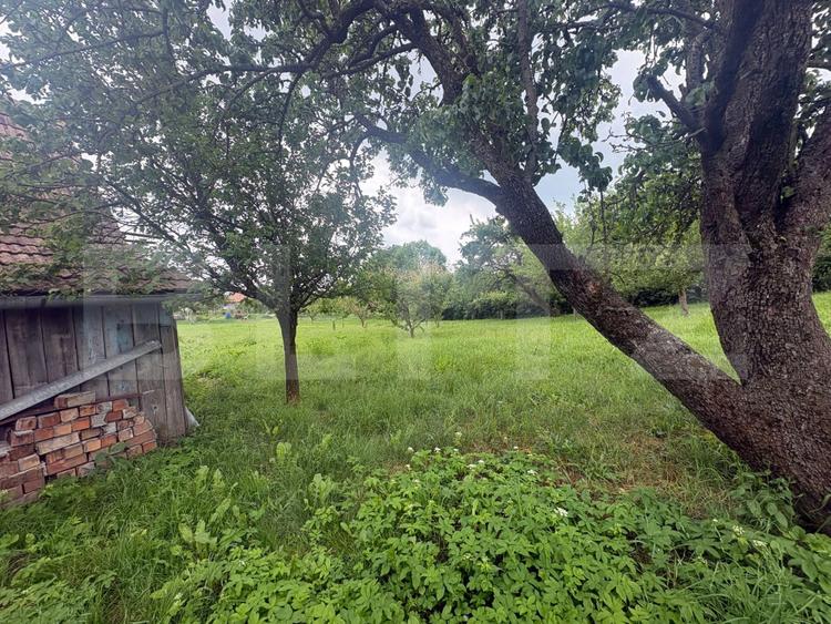 Casă cu teren generos de 2.963 mp în Aiton