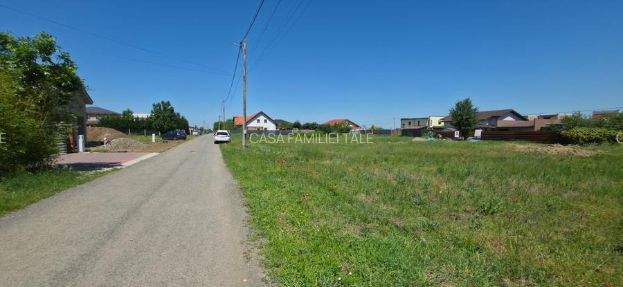 TEREN PREMIUM DE VÂNZARE ÎN DUMBRĂVIȚA – LÂNGĂ PĂDURE - 2