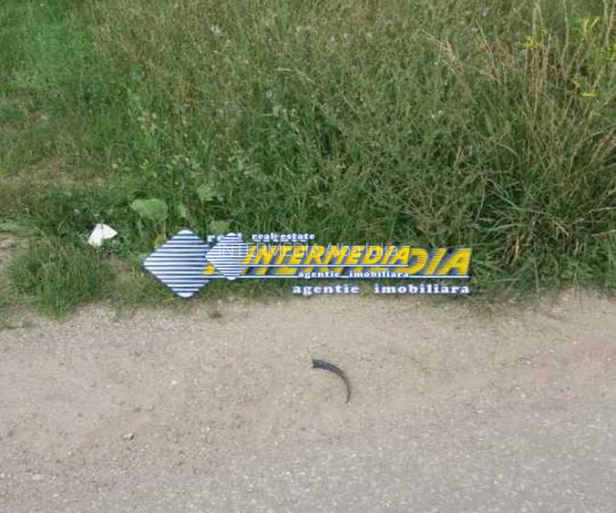 Teren de vanzare in Oarda, zona Ses la sosea 2000 mp