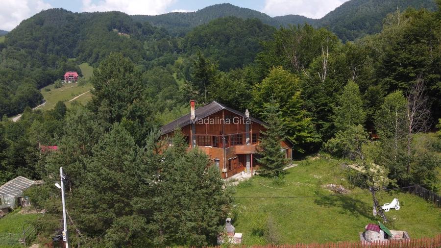 Casa de vacanta in Lepsa - 11