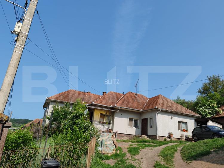 Casa individuala si 5.500 mp de teren intravilan, loc. Sanpaul, Cluj - 3