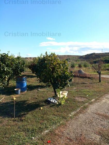 CASA 8 camere + teren intravilan, Silistea, St - 16.000 mp