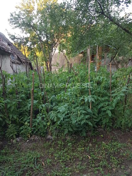 Casa singur in curte in Apoldu de Jos , la 35 km de Sibiu! - 56