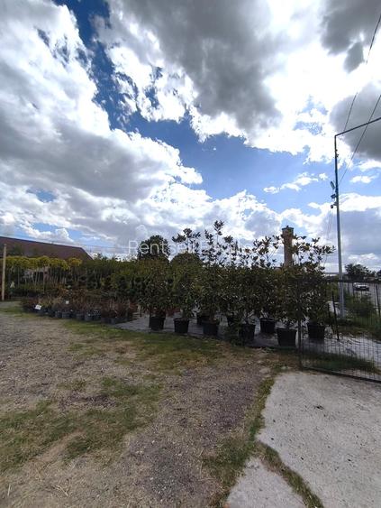 CĂLUGĂRENI-GIURGIU-TEREN PREMIUM-DIRECT LA DN5-30.000 mp-2.100.000 EUR