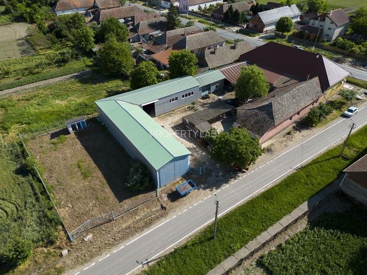 Clădire cu 5 camere cu teren și hală în Cenad - 24