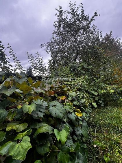 CASĂ CU SUFLET, ÎN INIMA COVASNEI, de vânzare - 22