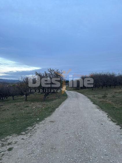 Teren de Vânzare – 34.485 mp | Câmpulung Muscel | Vedere Panoramică