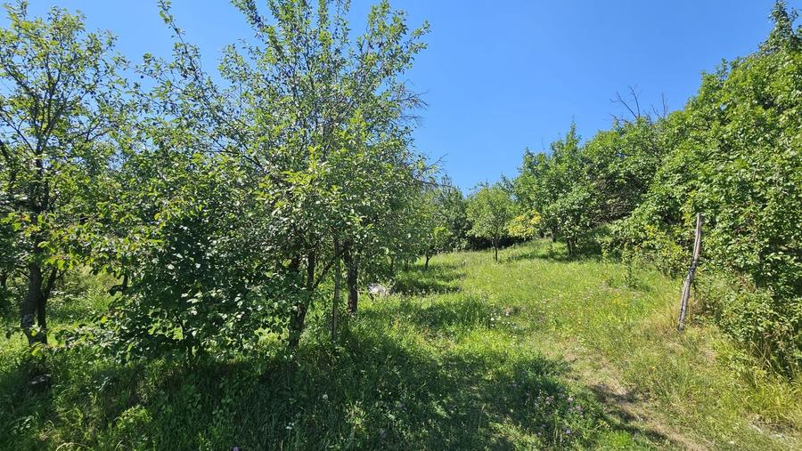 0 % comision, Lot format din 3 parcele, zona Antonio Gaudi-Borhanci