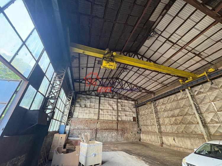 Hala Industriala,  Tatarasi, 586mp, 2euro/mp