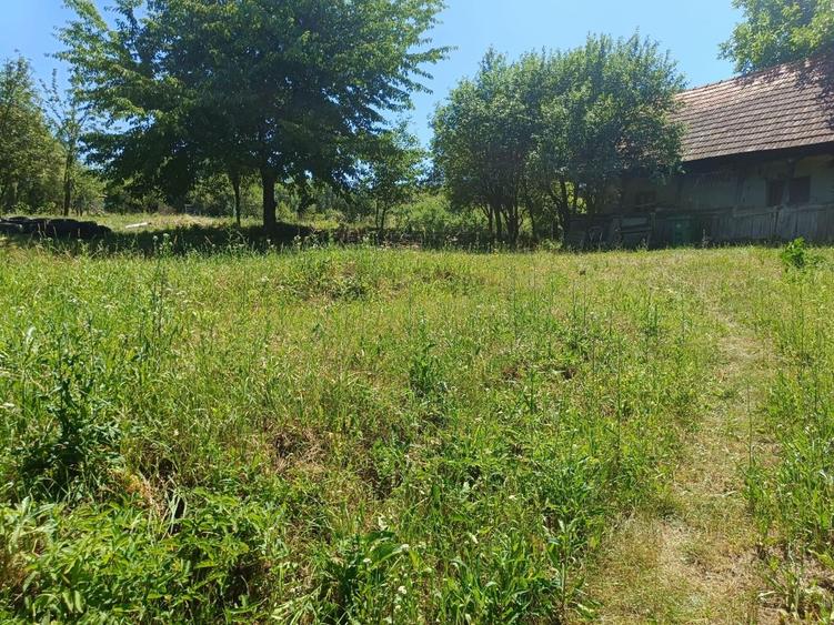 0 Comision Teren 1760 mp cu casa-Corusu, com Baciu, intravilan