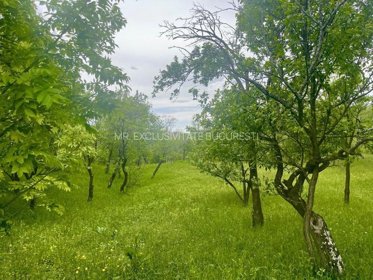 Teren intravilan Sotrile 6762 mp – Investitie, camping, agroturism - 2