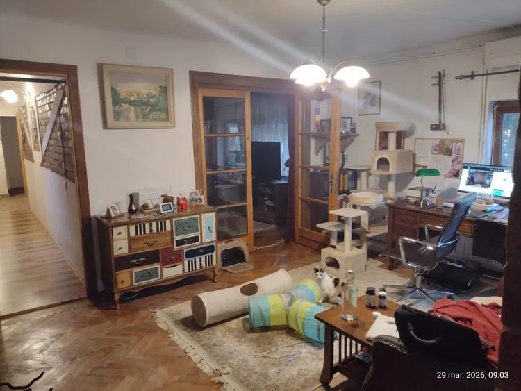 Ap4 cam\Cotroceni\Zona Ultra Premium\Anaf\Pet Friendly