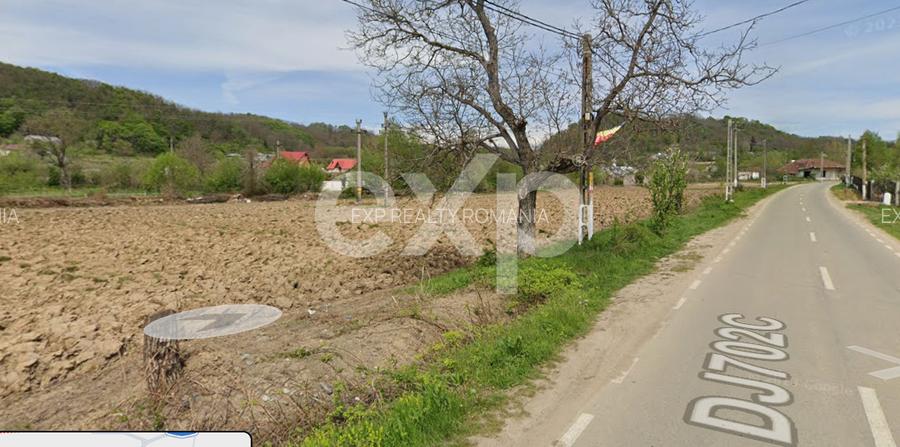 Teren intravilan 21.000 mp de vânzare – Suseni, Comuna Bogați, Județul Argeș - 11