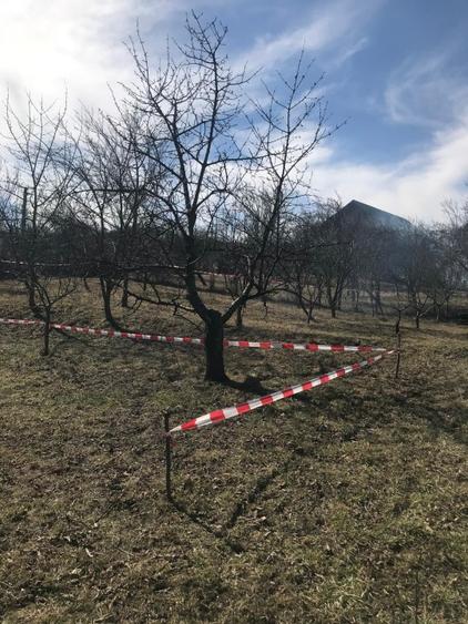 Teren de vanzare Baile Olanesti