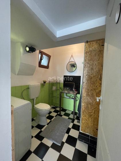 Casa individuala de inchiriat - 4