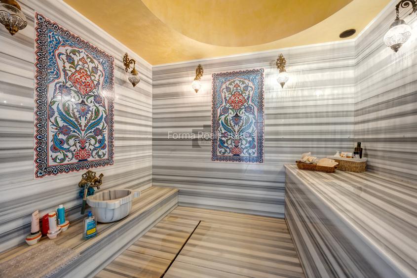 Proprietate Investitionala - Zona Amber Forest - 723 mp - 1700 mp Teren - 14