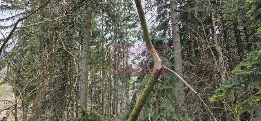 Etaj vilă istorică de vânzare în Sinaia – Zona Furnica