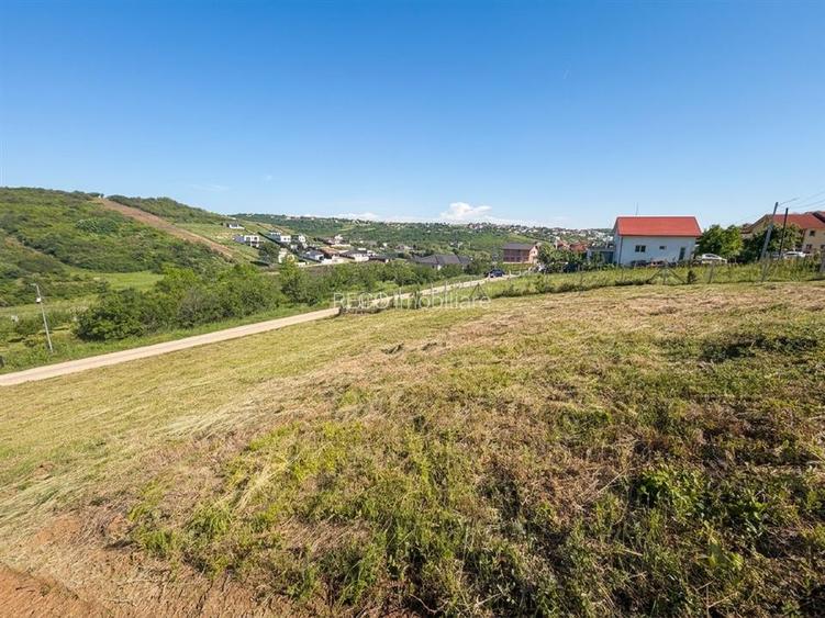 RECO Teren 1000 mp cu dublu front stradal in Saldabagiu de Munte - 3