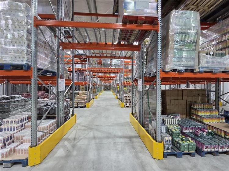 Inchiriere depozit frigorific congelare/hala/spatiu industrial Otopeni - Centura - 31