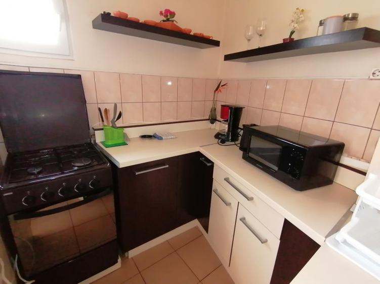 460€,, Romana Rosetti, centrala proprie, pet friendly