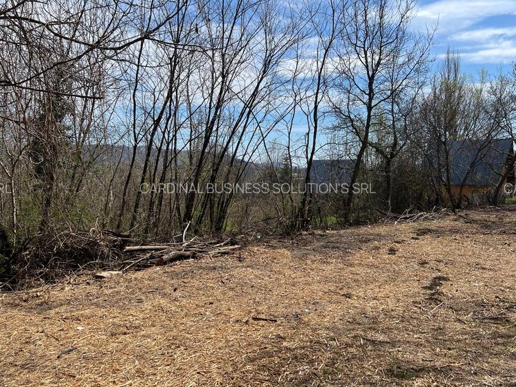 Breaza - str.Plaiului, Coasta Berzei nr.54, teren 1600 mp - 5