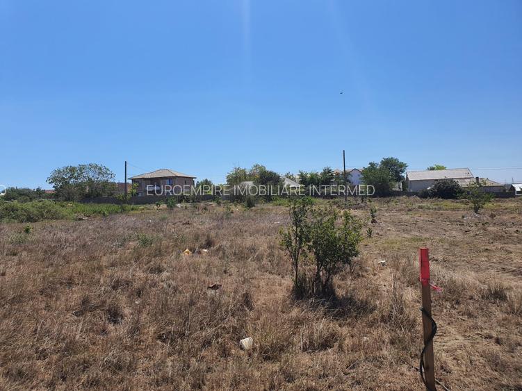 Anunturi vanzari terenuri Constanta zona Palazu Mare - 5