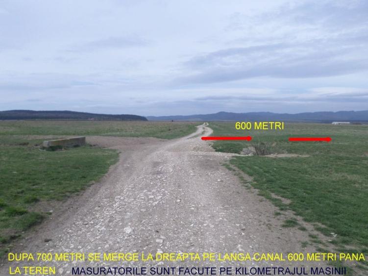 Teren ideal ferma, pt dezvoltare agricola, proiect fotovoltaice