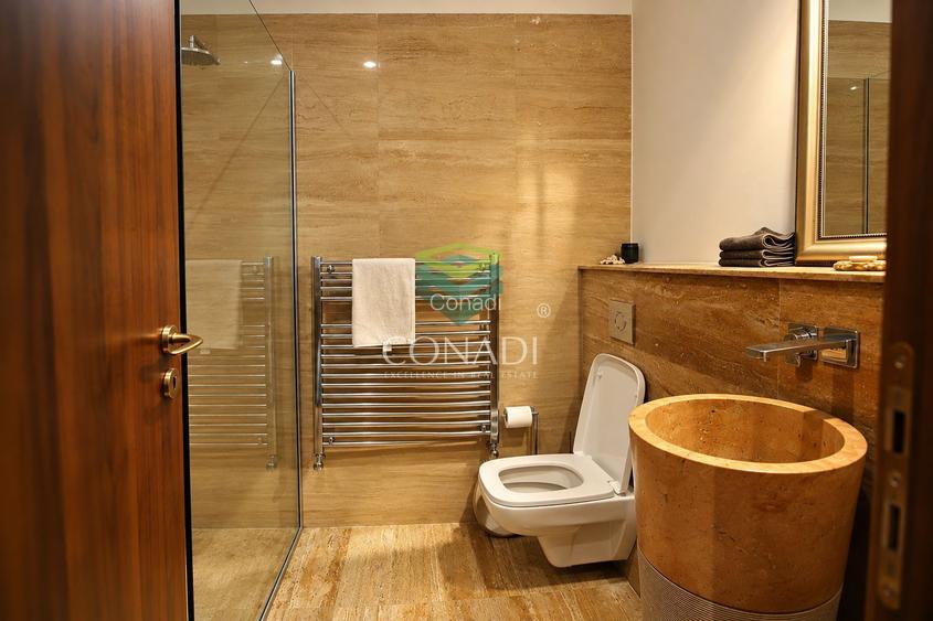 Apartament cu terasa mare amenajat lux | Baba Novac | Piata Muncii - 47