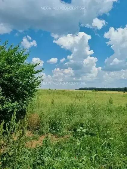 11 Loturi Teren Intravilan | 430 mp / lot | Acces Rapid A2 | Ideal Dezvoltare