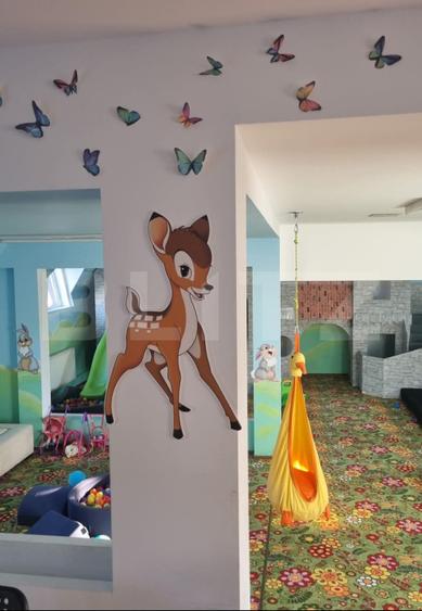 Casa cu spalatorie auto si mansarda spatiu locuinta/afacere, zona Judecatorie