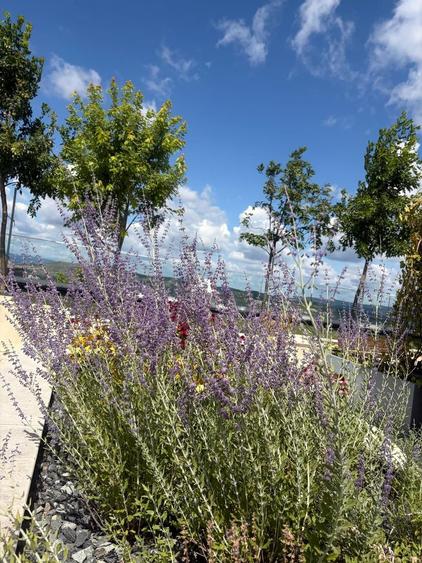 Penthouse | Etaj 14 | Seasons | Direct de la Dezvoltator!