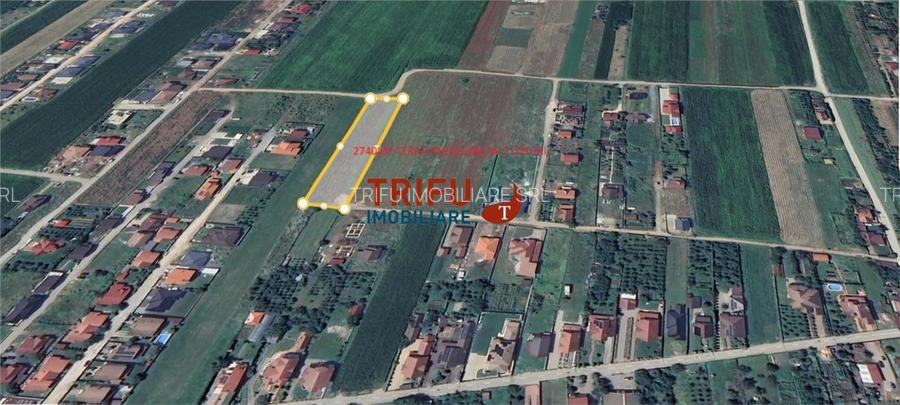 Teren Intravilan construibil de 2740 mp în Micești, Alba Iulia - 6