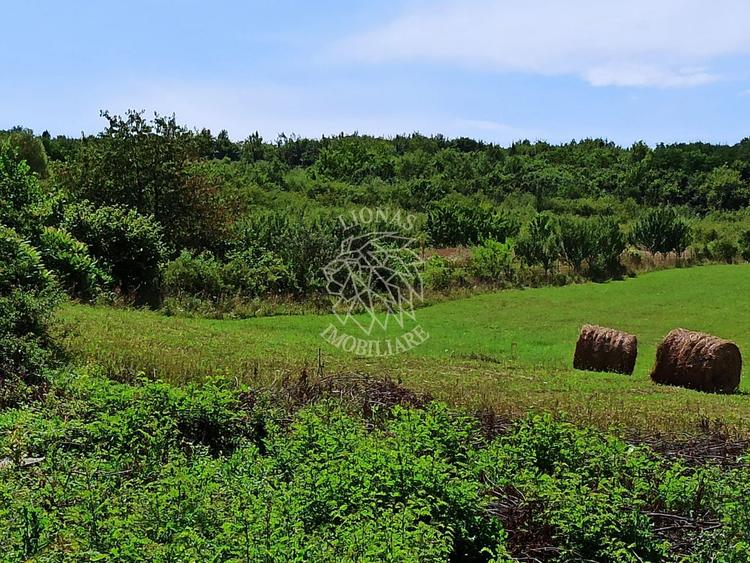 Parcele teren 4038 mp - Parcelabil - Zona Valea Stanelor
