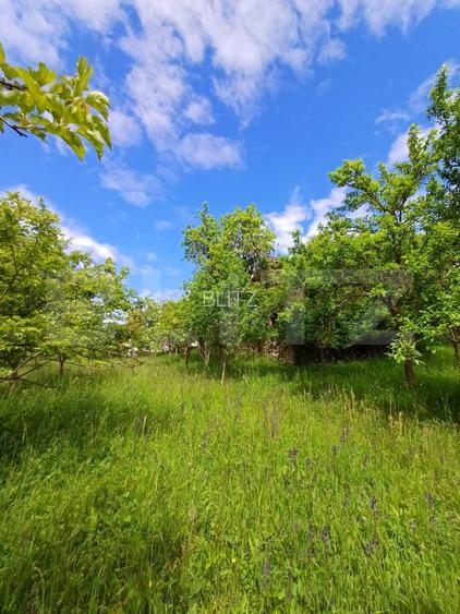 Casa 3 camere si teren 4873 mp  în Pietroasa, Moldovenești - 13