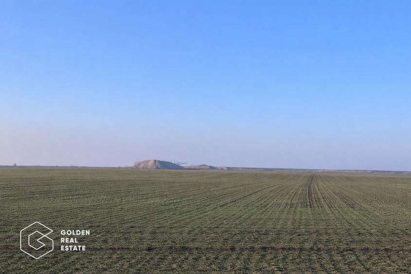 Teren agricol 32.000 mp, deschidere sosea Arad–Siria