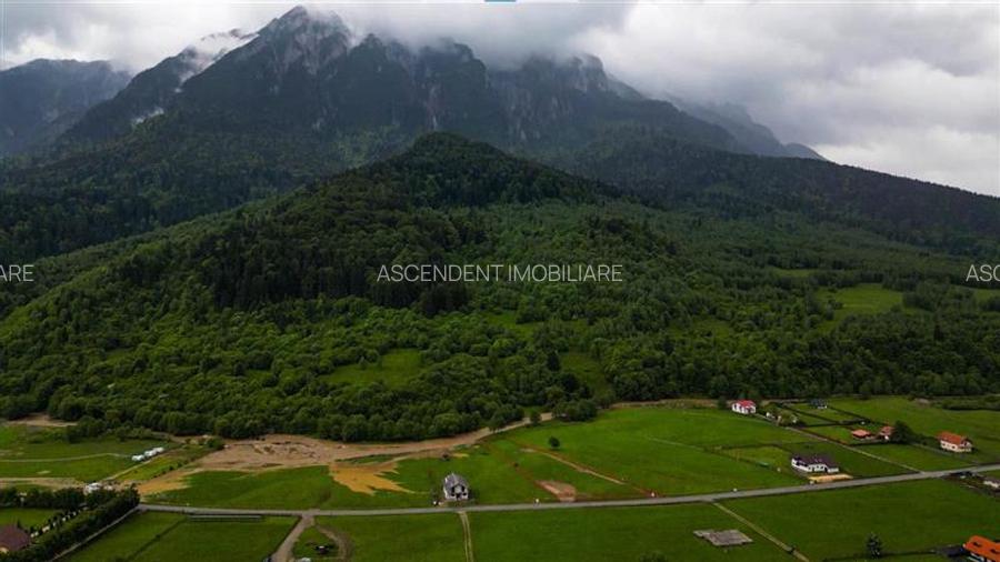 In cartea de povesti a Pietrei Craiului, ansamblul turistic functional,Plaiul Fo - 10