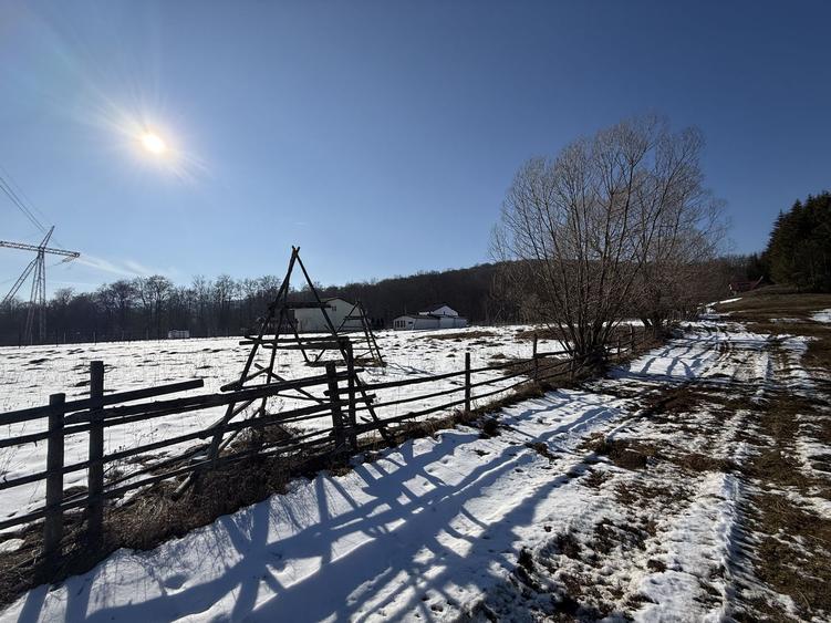 Teren intravilan 4521mp lângă pădure-valea Doftanei -Calea Brasovului